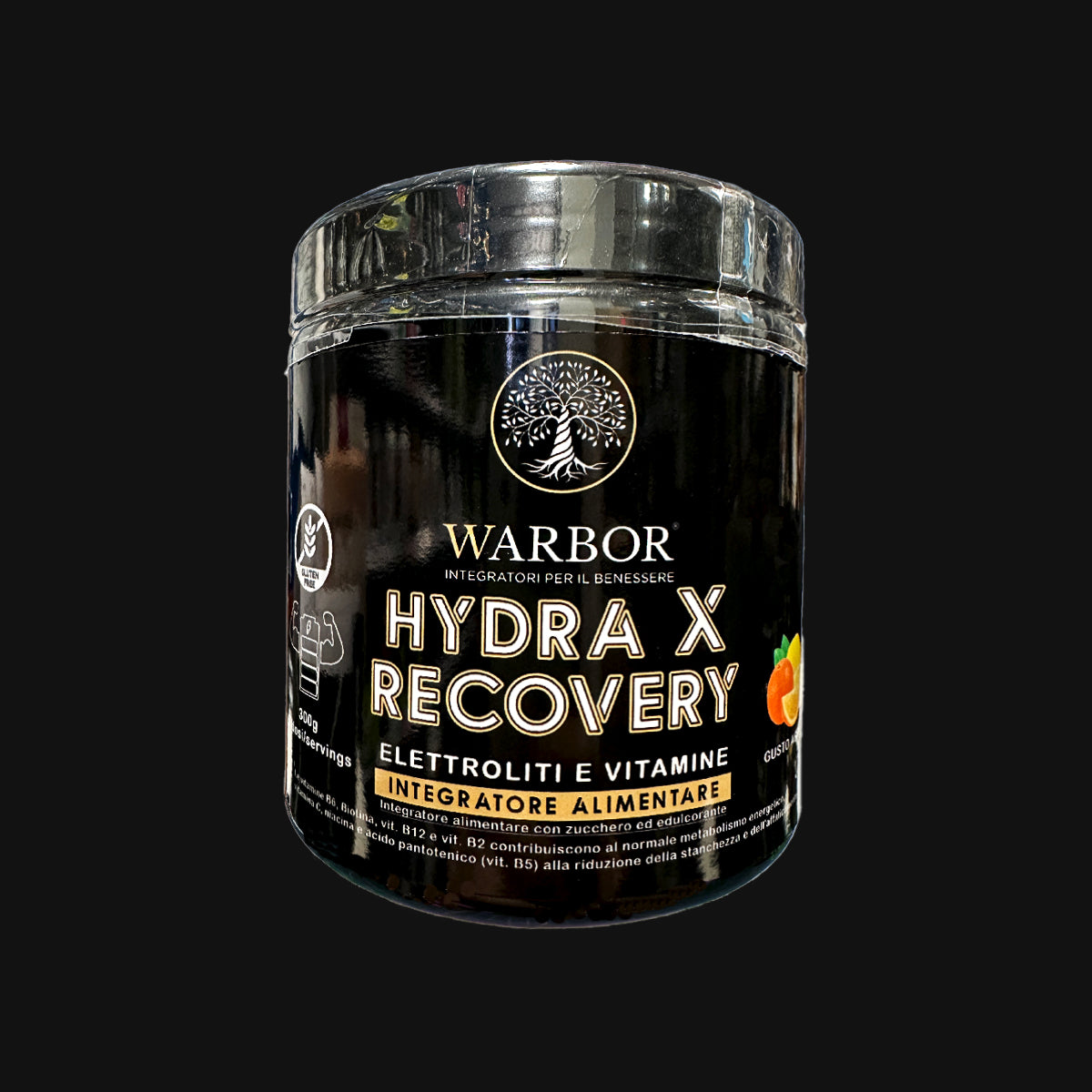 Warbor – Hydra X Recovery 300g Sali Minerali